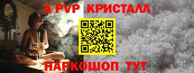 спиды Гай