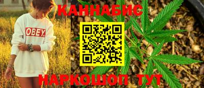 спиды Гай