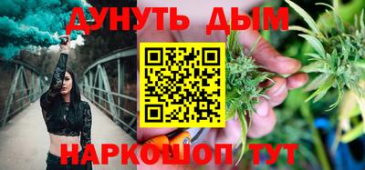 крисы Гатчина