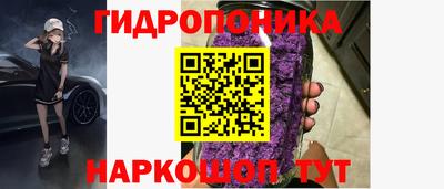 спиды Гай