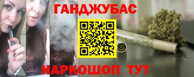 спиды Гай