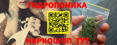 спиды Гай