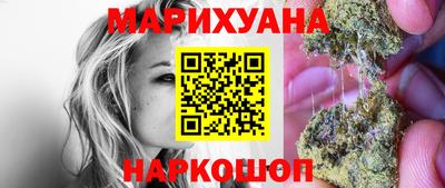 крисы Гатчина