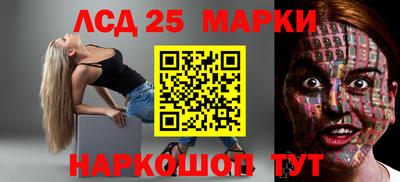 крисы Гатчина