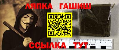 спиды Гай