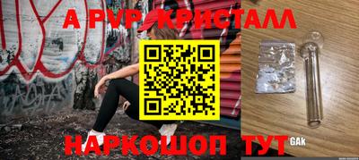 крисы Гатчина